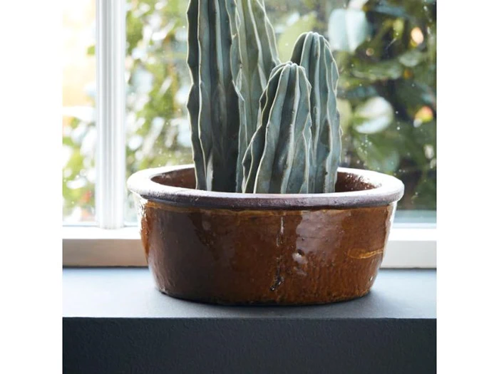 Høj grøn kaktus i en rund, brun keramikpotte i en vindueskarm med sløret grønt uden for vinduet.
