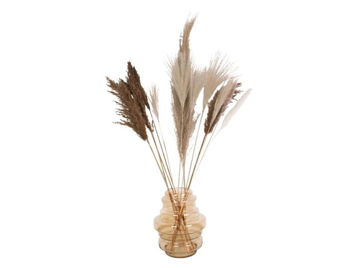 En beige glasvase med flere høje, tørrede pampasgræsstængler i forskellige brune og cremefarvede nuancer arrangeret mod en hvid baggrund.