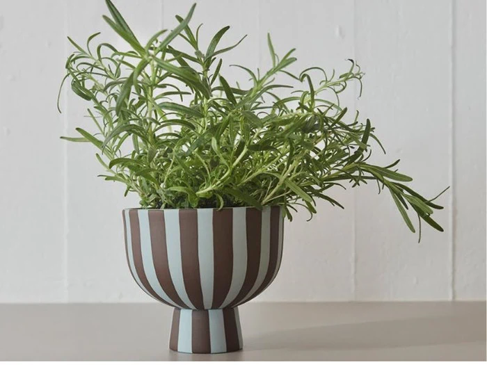 OYOY, Toppu skål, Dusty blue/choko, stentøj, Ø15 x H13 cm