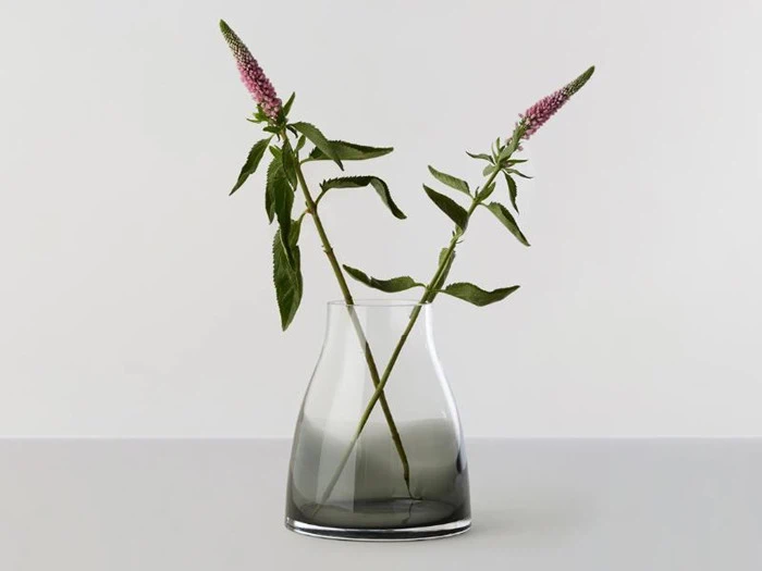 En klar glasvase med mørk bund rummer to langstilkede blomster med grønne blade og rosa-lilla kegleformede blomster mod en ensfarvet baggrund.