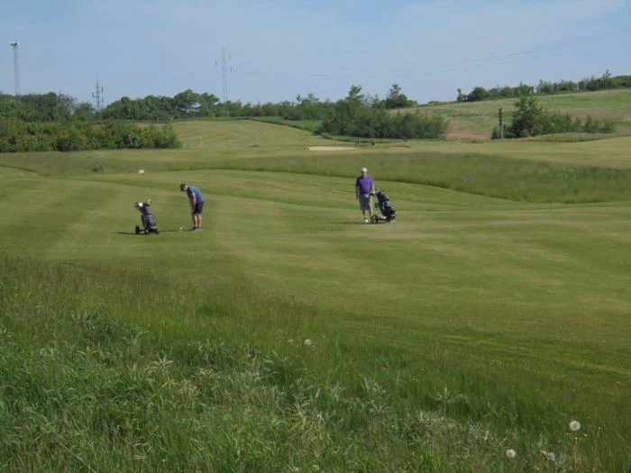 To personer spiller golf på en grøn, græsklædt bane under en klar himmel; den ene putter, mens den anden står i nærheden med en golfvogn.