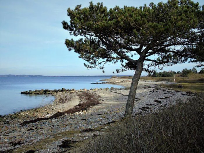 Familie camping: Miniferie i Camp-Let ved Reersø Camping - Omgivet af smuk natur og tæt ved vandet