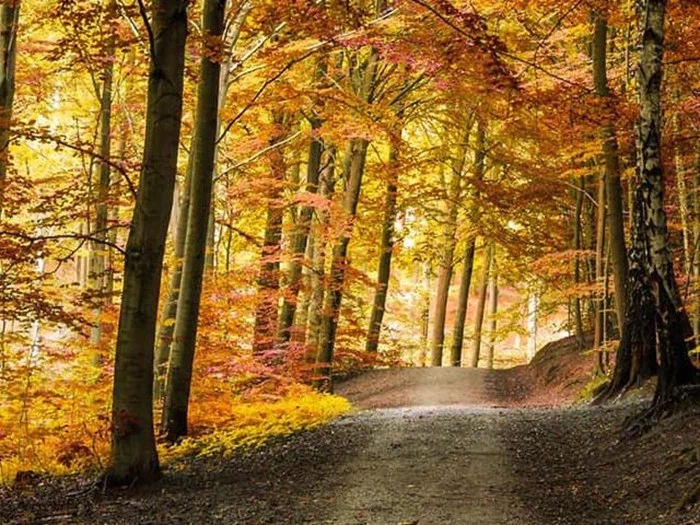 Efterårsophold på 4-stjernet Hotel Fredericia 