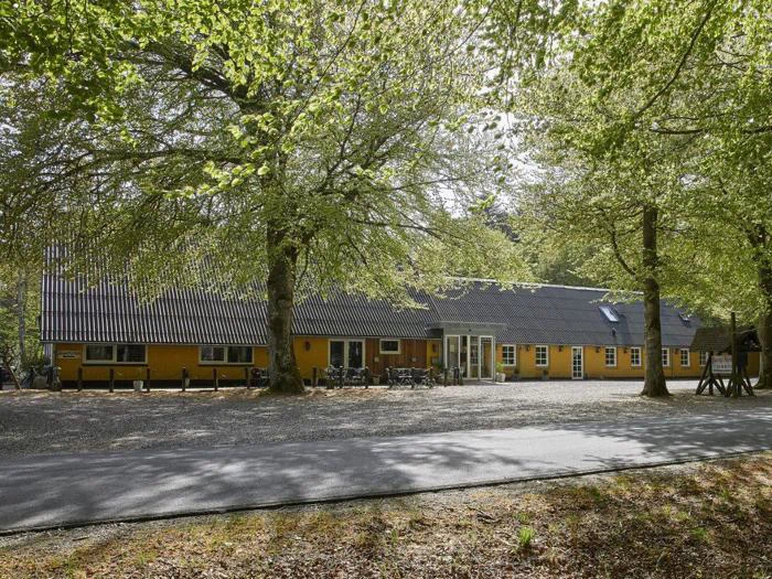 En lang gul bygning med gråt tag ligger bag grønne træer nær en stille vej på en solrig dag.