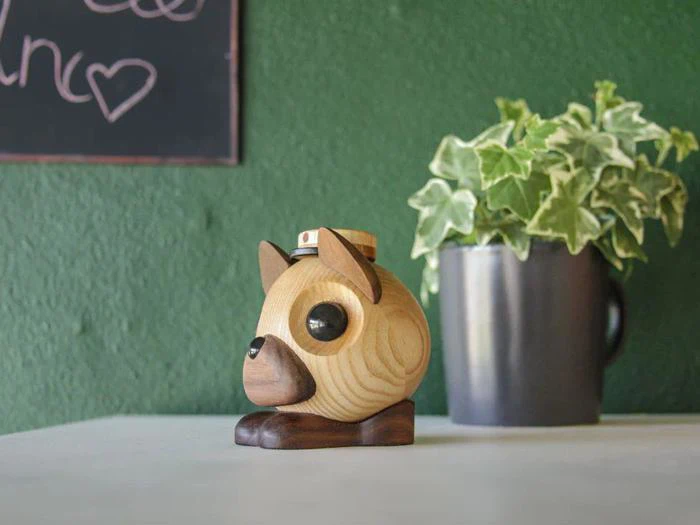 En lille hundefigur af træ med store sorte øjne står på et bord ved siden af et gråt krus med en grøn bladplante på, op ad en grøn væg med en del af en kridttavle.