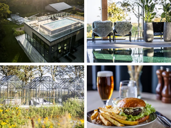 En pool på taget, et hyggeligt loungeområde, glasdrivhuse i en have og en tallerken burger med pommes frites og et glas øl.