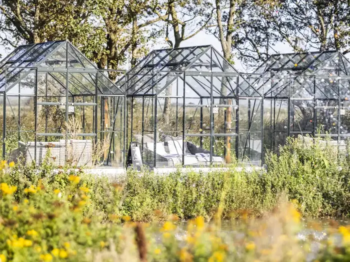 En række glasdrivhuse med bede indeni, placeret blandt højt græs og gule vilde blomster, med træer i baggrunden.