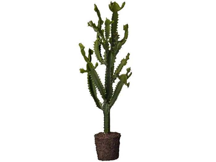 Flora kaktus - H96 cm