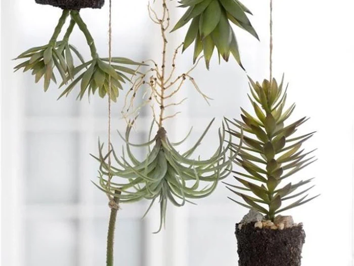 Lene Bjerre, Flora sukkulent, grøn, plastik, H28xØ10