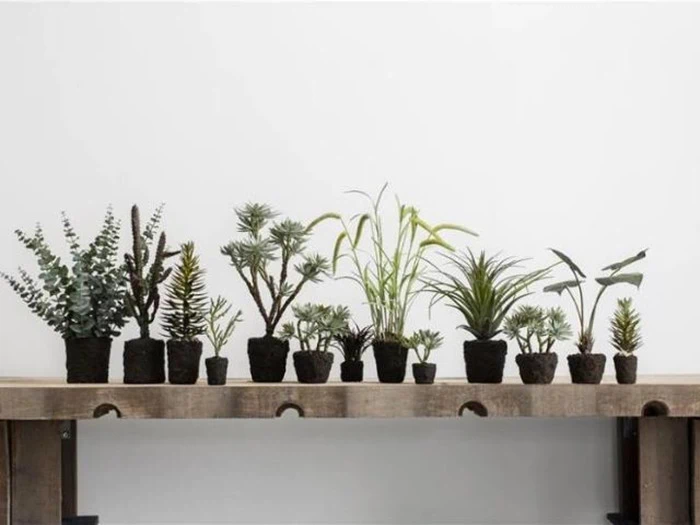 Lene Bjerre, Flora sukkulent, grøn, plastik, H46xØ14