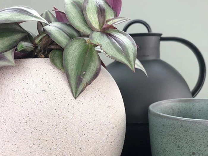 Pure Culture, Forrest potte, grå, keramik, 16x16x15