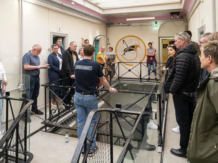 En gruppe mennesker lytter til en guide i en gang med trapper og en malet væg med en kænguru inde i en cirkel. Nogle tager billeder, mens andre ser opmærksomt til.