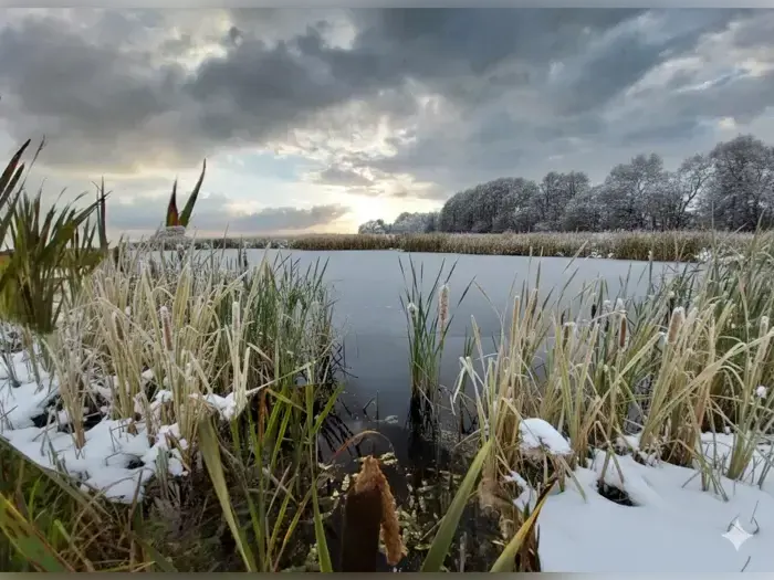 4-dags ferie i familiehytte på Lille Vildmose Camping - Danmarks største vildmark i baghaven