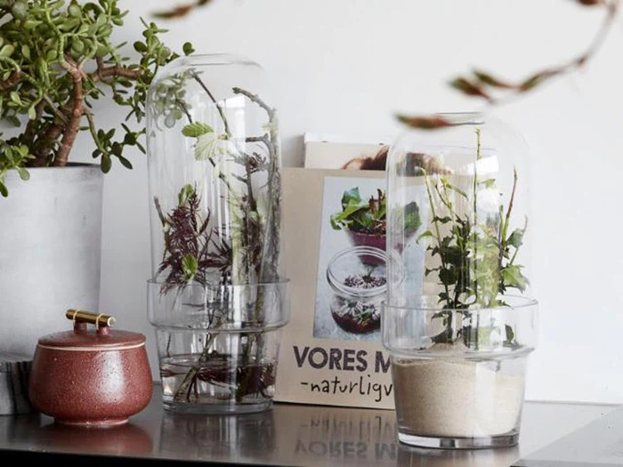 2 stk. glasklokker med potte fra House Doctor