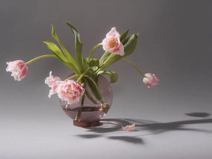 AYTM, GLOBE vase, rosa, messing, glas, rustfrit stål, Dia:21 x H:21 cm