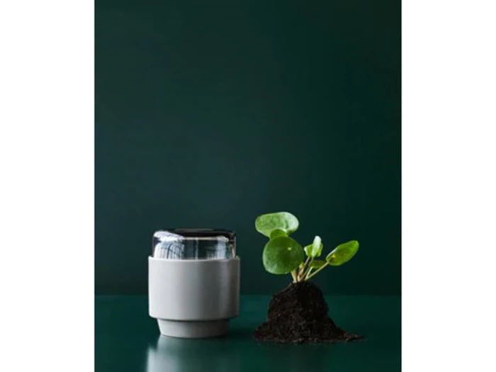 Lucie Kaas, Gro, potteskjulere, Laurel Oak, Keramik, Small, H:12,5 cm Ø: 13 cm