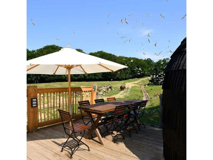 VIP-ophold for 4 i Night Explorer cabin i Ree Park - Unik julegave til familien