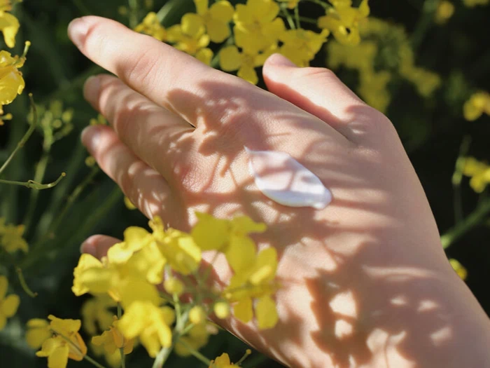 En hånd med en klat hvid creme hviler blandt gule blomster, mens sollyset kaster blomsterskygger på huden.