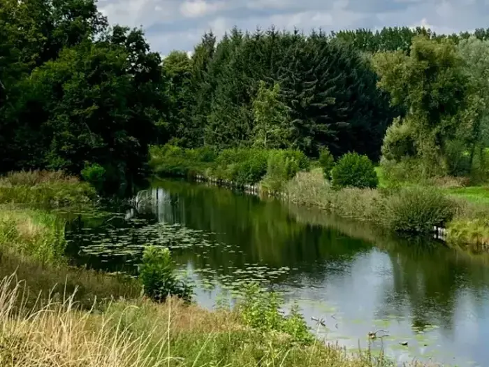 En rolig flod med åkandeblade flyder gennem en frodig, grøn skov under en delvis overskyet himmel, omgivet af højt græs og tætte træer.