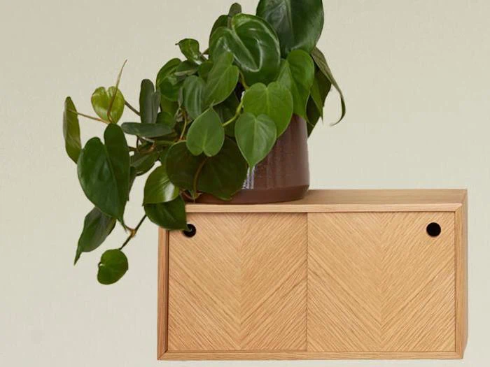 En bladgrøn potteplante står oven på en lille træhylde med to skydedøre op ad en almindelig lys væg.