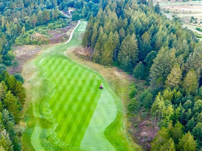 Luftfoto af en frodig grøn golfbane omgivet af tætte træer, med en stribet fairway og et lille køretøj på græsset.