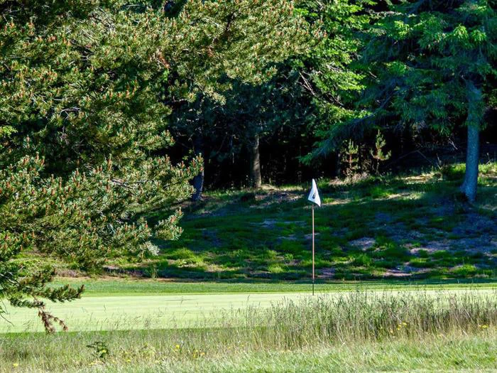 Et golfflag står på en green omgivet af højt græs, træer og sollys, der filtrerer gennem løvet.