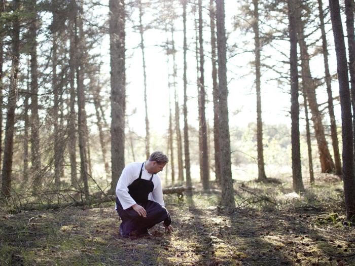 En person iført et sort forklæde knæler på skovbunden og undersøger jorden, omgivet af høje træer og sollys, der filtrerer gennem grenene.