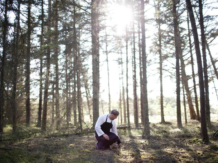 En person i hvid skjorte og sort forklæde knæler på skovbunden, omgivet af høje træer med sollys, der strømmer gennem grenene.