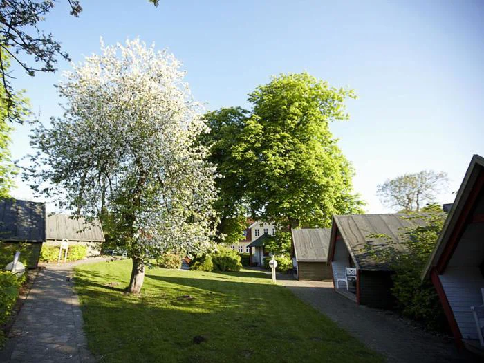 En solbeskinnet have med et blomstrende træ, grønt græs og flere små huse med skrånende tage under en klar blå himmel.