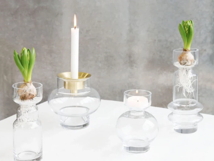 Fire klare glasvaser på en hvid flade, to med spirende pærer, en med et hvidt fyrfadslys og en med et fyrfadslys, mod en almindelig grå baggrund.