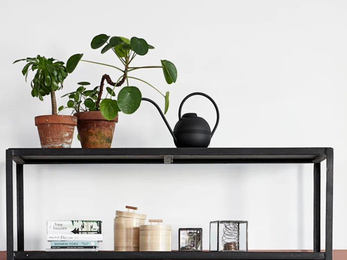 En sort metalhylde med potteplanter, en sort vandkande, bøger, træbeholdere og små pyntegenstande mod en hvid væg.