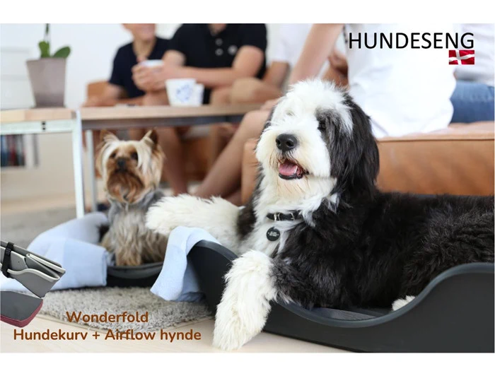 2Pak lille Wonderfold Hundekurven & Airflow hynden fra Coocoo Design 