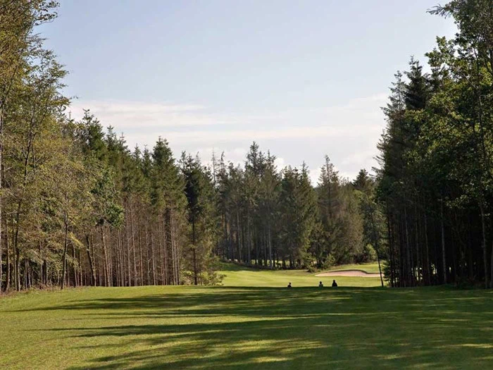 En solrig golfbane omgivet af høje træer, med en sandbunker i det fjerne og et par mennesker, der sidder på græsset.