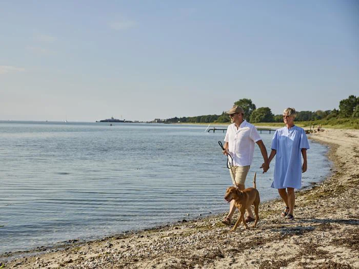 Et par går hånd i hånd langs en rolig strand med deres hund i snor og nyder en solrig dag ved vandet.