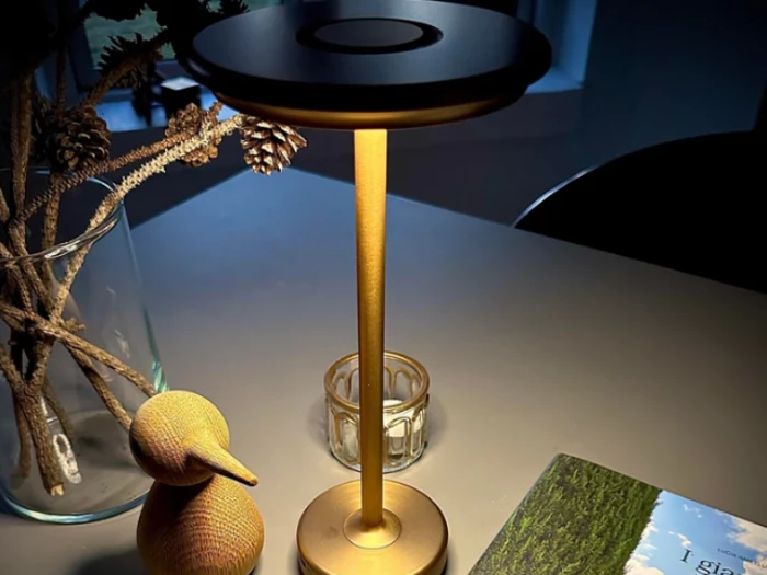 En moderne skrivebordslampe i guld oplyser et bord med en træfugl, en glaskrukke, en vase med kogler og en åben bog i et hyggeligt, svagt oplyst rum.