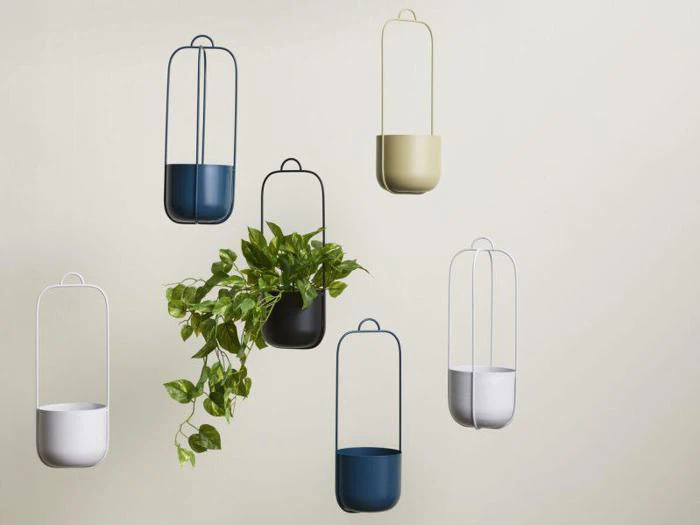 Seks minimalistiske hængeplanter i forskellige farver, hvoraf den ene indeholder en grøn slyngplante, er monteret på en almindelig lys væg.