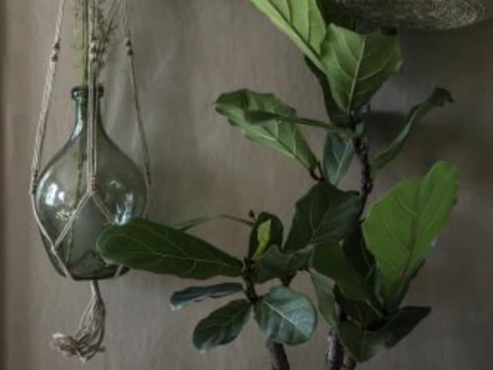 Ib Laursen, Glasballon, grøn - 28x17