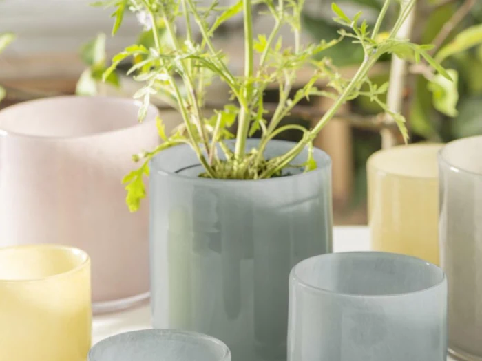 En grøn plante vokser i en gennemsigtig grå glaspotte omgivet af andre tomme, pastelfarvede glaspotter.