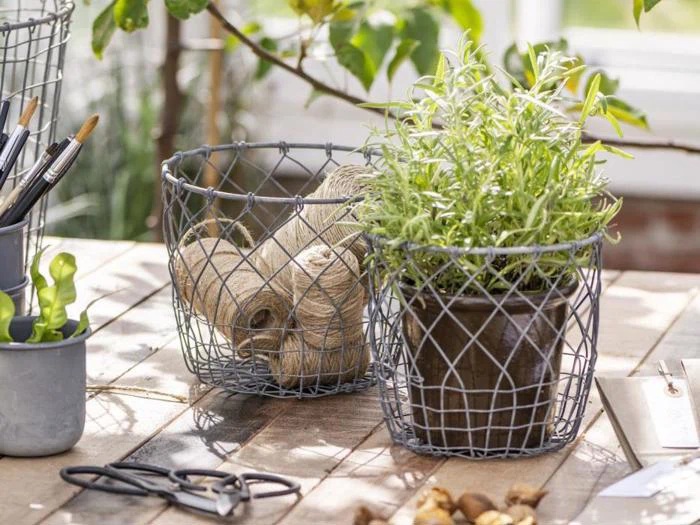 Urtepotte og metalkurv med snor på et træbord, omgivet af haveredskaber og planter i et solbeskinnet rum.