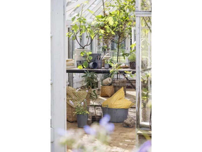 Et hyggeligt drivhus med potteplanter, flettede kurve og en gul pude på gulvet, badet i naturligt sollys.