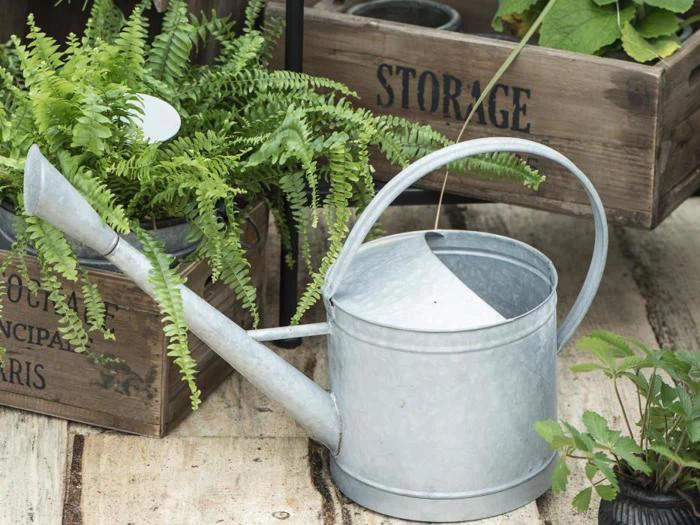 En metalvandkande står på en træplade ved siden af grønne bregner og planter i rustikke trækasser med påskriften STORAGE.