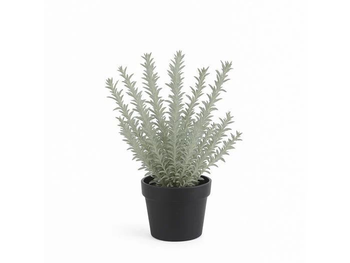 Chic Antique, Fleur Rosmarin, Kunstig plante, grøn, Plastik, jern, polyskum, H:45 x Ø:15 cm
