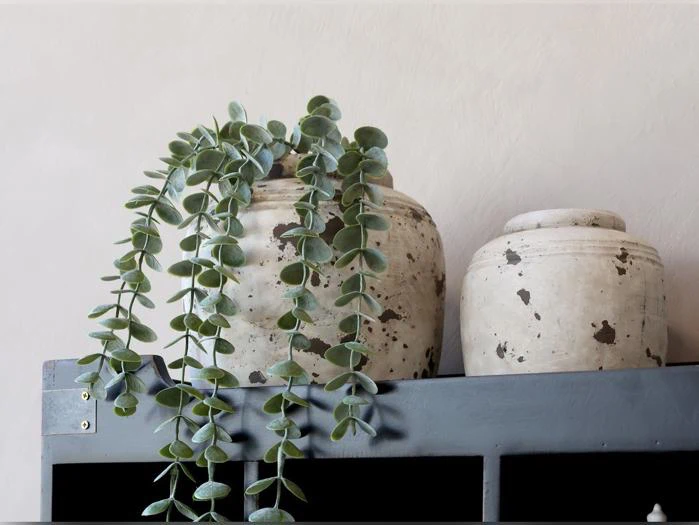 To rustikke keramikkrukker står på en grå hylde; den ene indeholder en hængende plante med runde, grønne blade. Krukkerne har et forvitret, plettet udseende.
