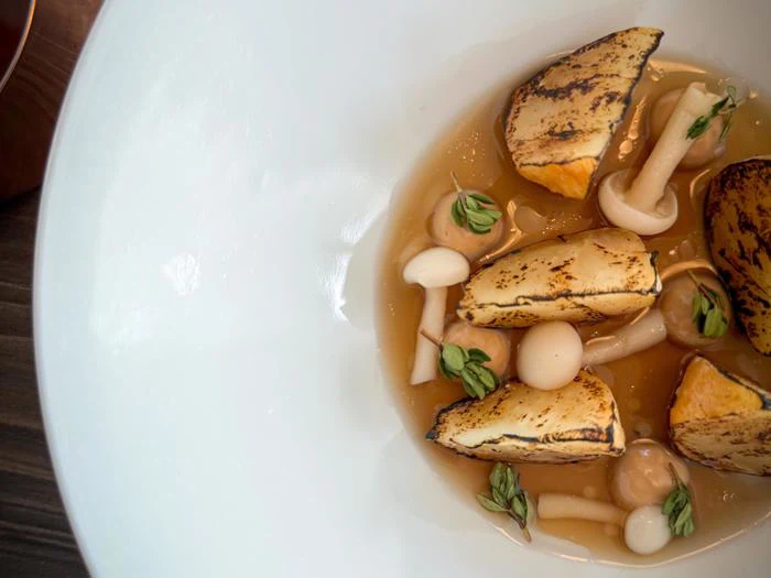 Nærbillede af en gourmetret med grillede rodfrugter, svampe og friske krydderurter i en let bouillon, serveret i en hvid skål.