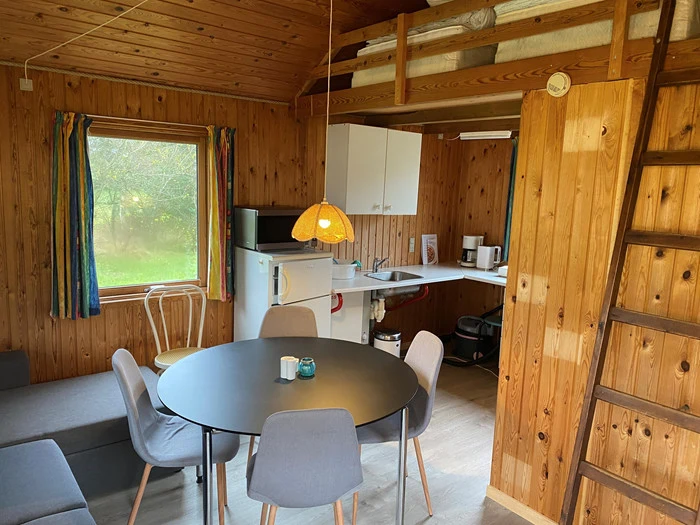 Hyggelig træhytte med rundt spisebord, fire stole, lille køkken, køleskab, sofa, hems ovenover og et vindue med farverige gardiner, der lukker det grønne udenfor ind.