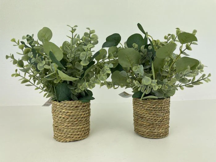 To små kunstige potteplanter med grønne blade i flettede kurve, placeret side om side på en lys flade mod en almindelig hvid baggrund.