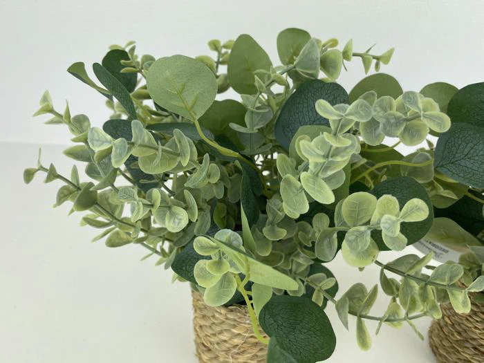 Nærbillede af kunstige grønne eukalyptusplanter i flettede kurve mod en almindelig hvid baggrund.