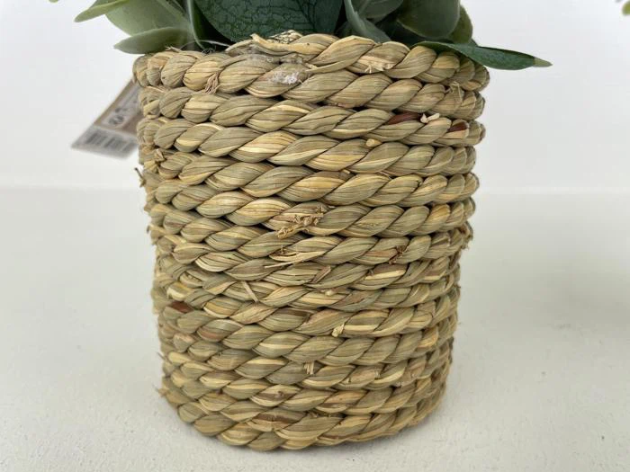 Et nærbillede af en flettet, cylindrisk kurv lavet af naturligt halm eller græs, som indeholder grønne, bladrige plantestængler.