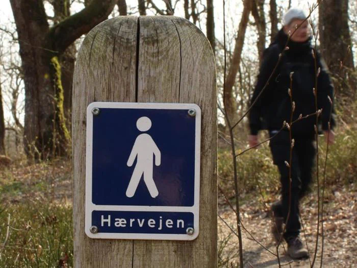 Miniferie på Hotel Egeskoven - Stemning af "Sommer på Feddet"