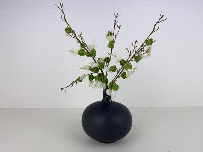 En lille, rund, sort vase rummer fine grene med hvide blomster og grønne knopper, som står på en enkel, hvid baggrund.